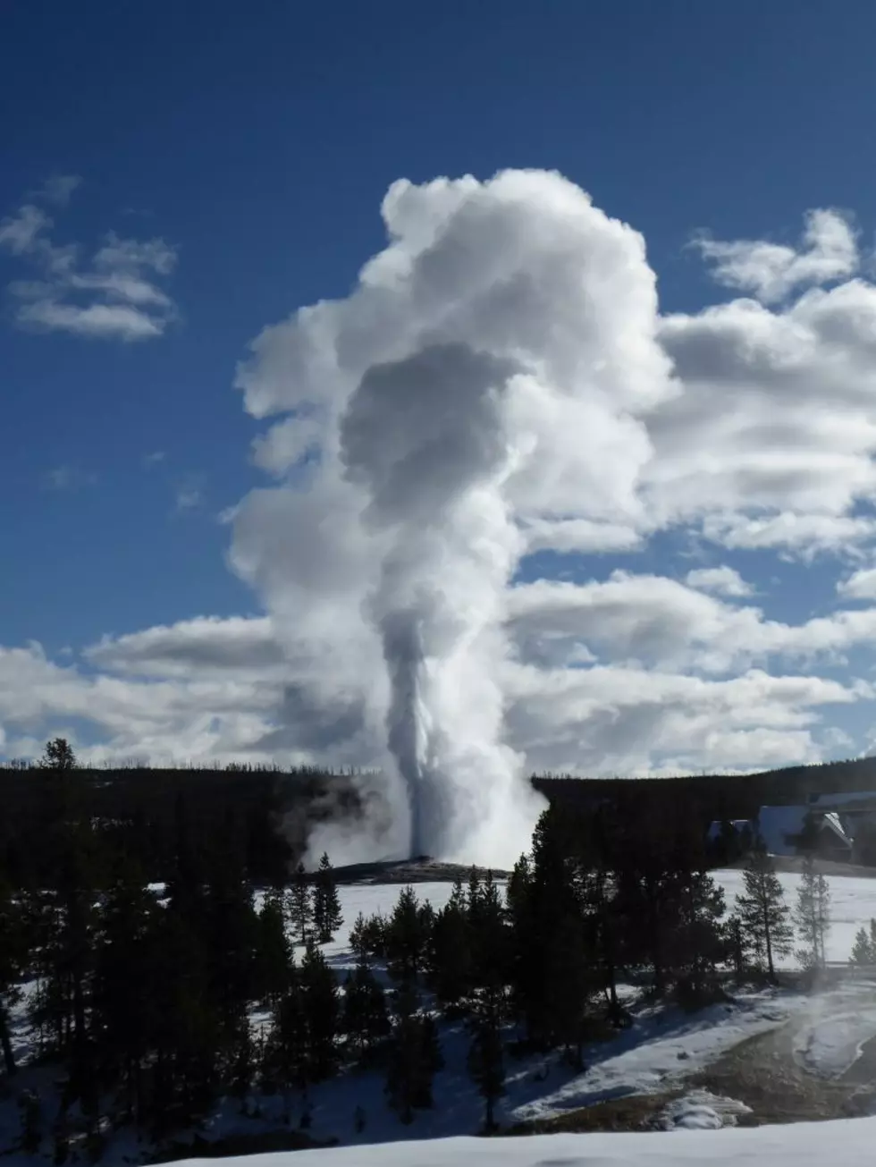 Should Yellowstone National Park install WiFi network?
