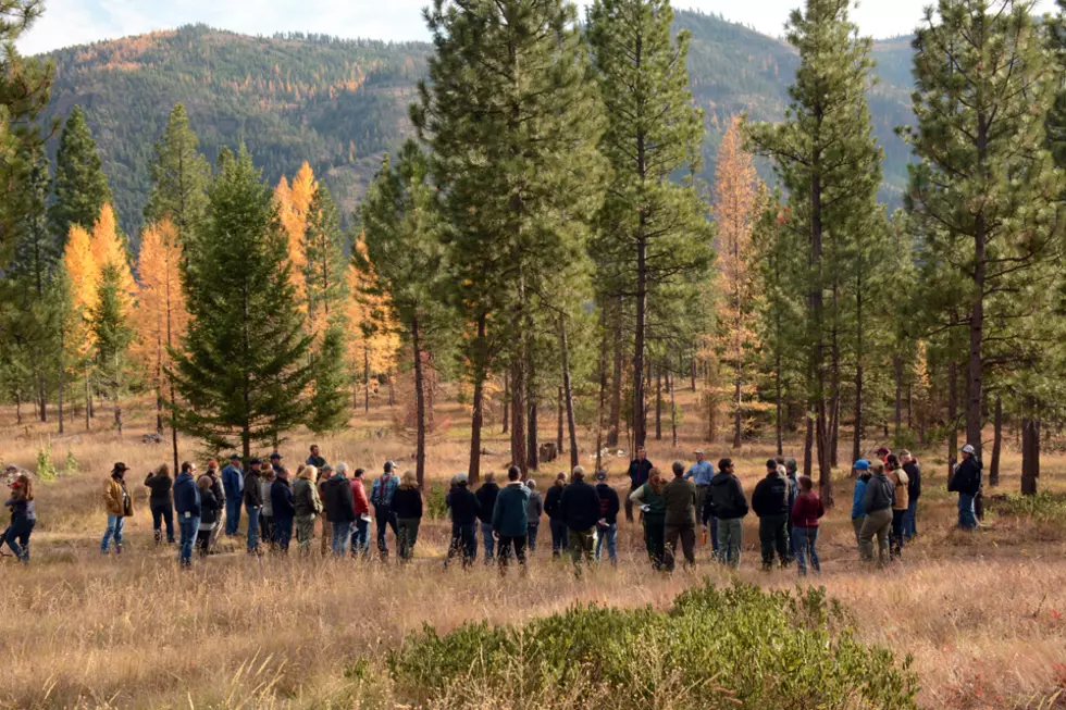 Missoula forestry tour emphasizes collaboration in reducing wildfire risk