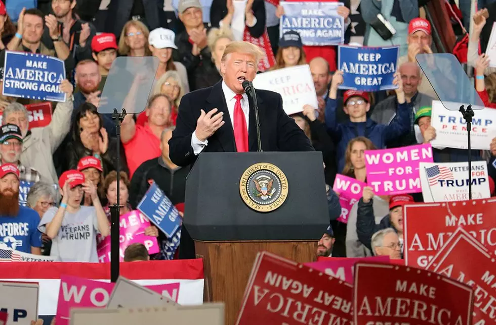 Your vote: Trump a key factor in midterm elections, poll shows