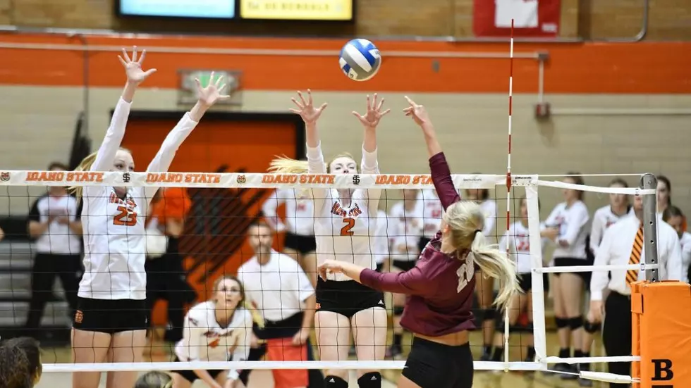 Montana volleyball: Grizzlies shock Bengals, advance to Big Sky championship