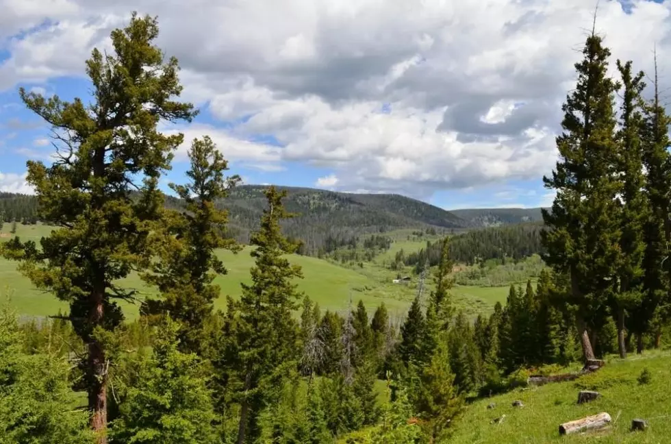 Meagher County ranch proposes $7.5M land sale to U.S. Forest Service