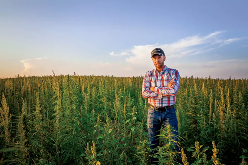 Legislature seeks to boost Montana hemp production, integrate into ag economy