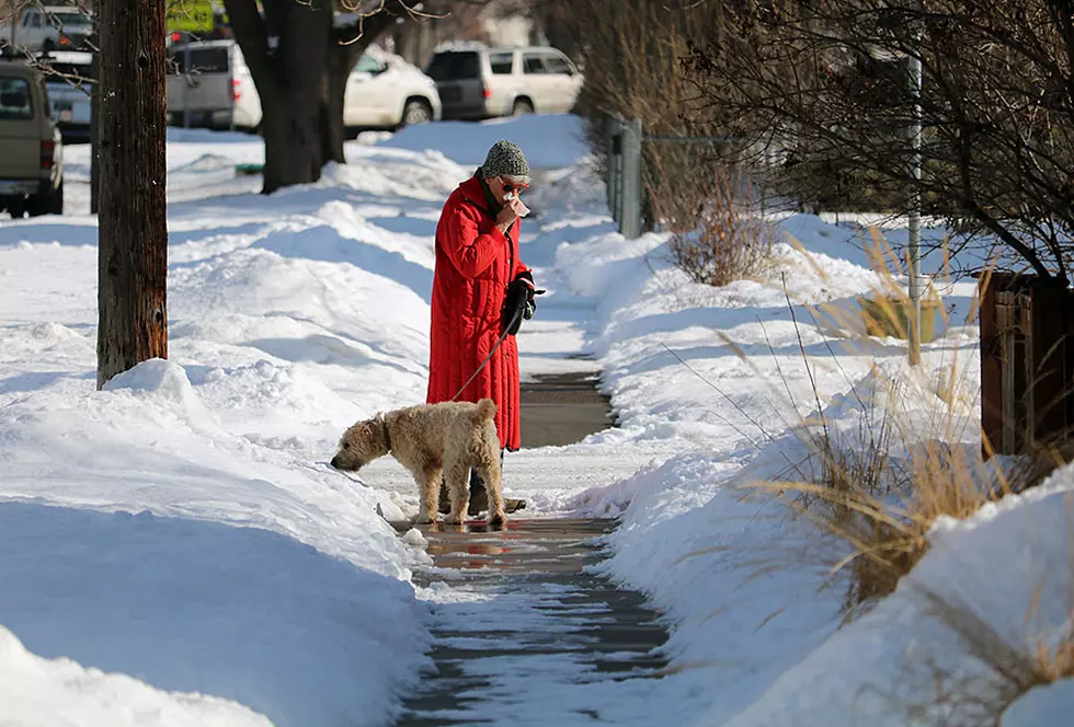Council OKs property tax add-ons for snow shoveling, weed removal, parks, roads