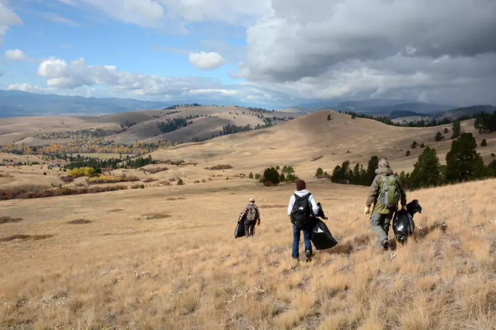 After steep population decline, FWP reduces elk tags north of Missoula