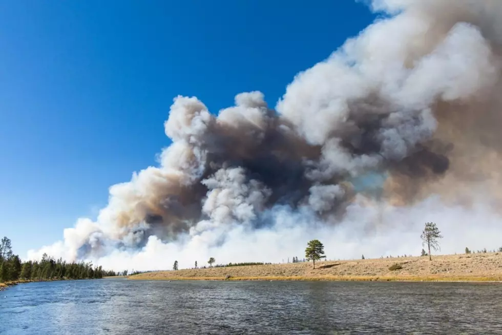 Living with Fire I: The evolution of wildfire suppression began in Missoula