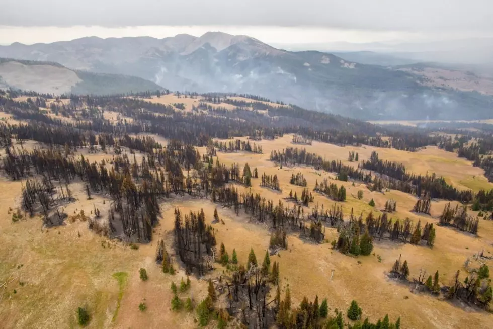 Living with Fire II: Missoula among communities working to become &#8216;fire-resilient&#8217;