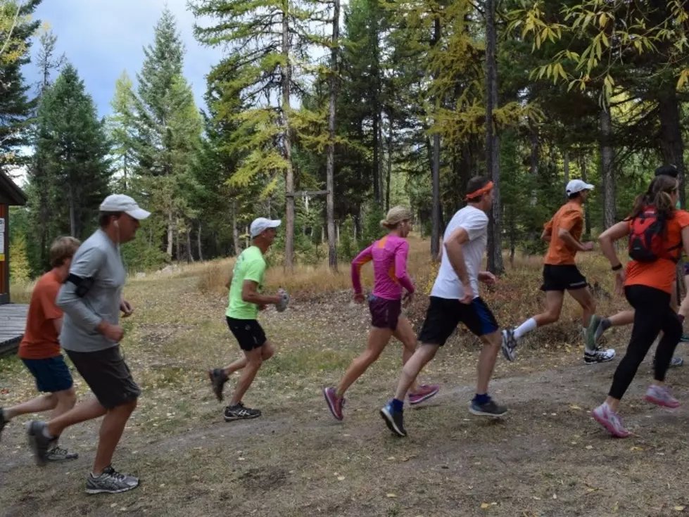 U.S. Forest Service approves Whitefish ultra-marathon through grizzly bear habitat