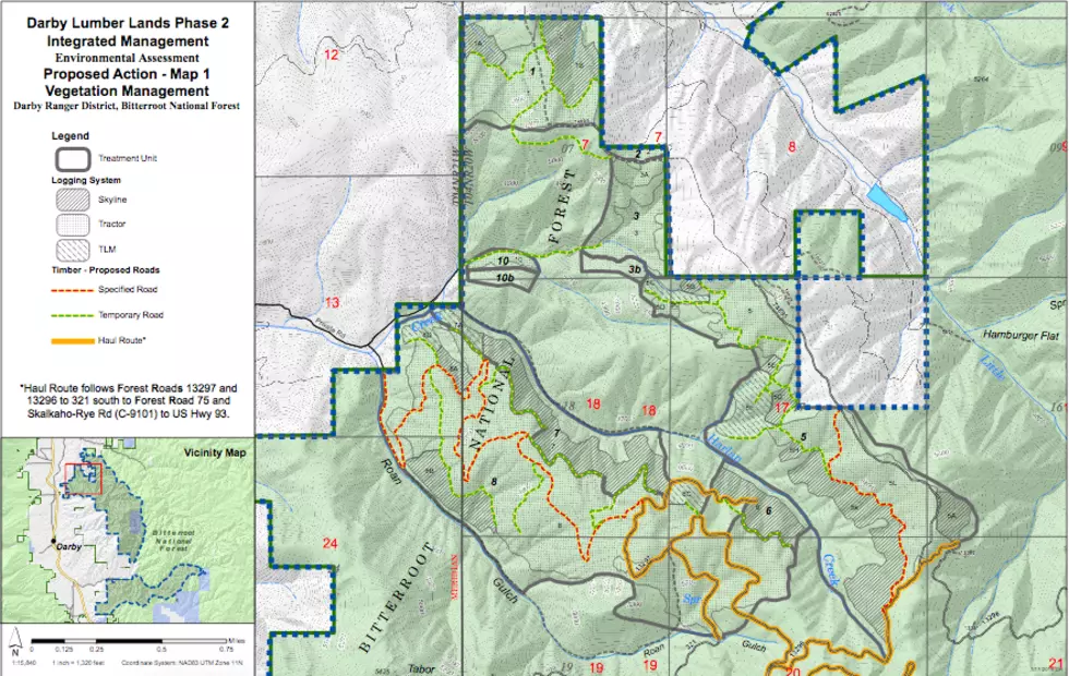 Bitterroot National Forest plan to log 1,300 acres of elk winter range draws protests