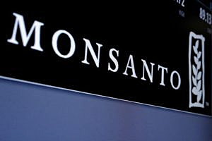 Monsanto logo is displayed on a screen where the stock is traded on the floor of the New York Stock Exchange (NYSE) in New York City, U.S. on May 9, 2016. REUTERS/Brendan McDermid/File Photo