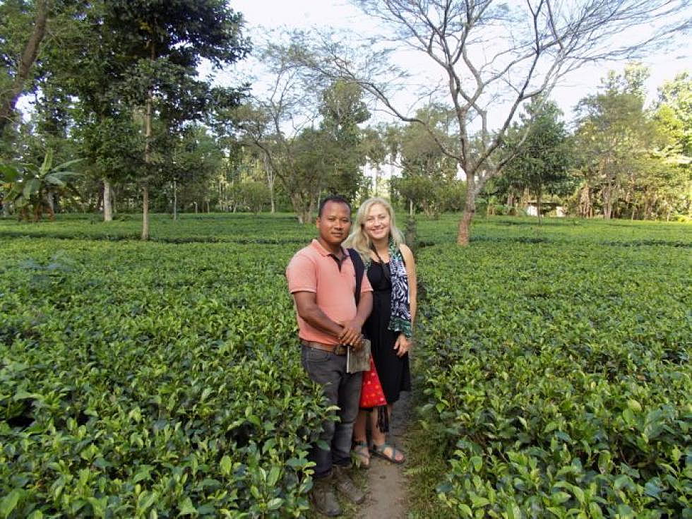 Think globally: Missoula first market for elephant-friendly tea