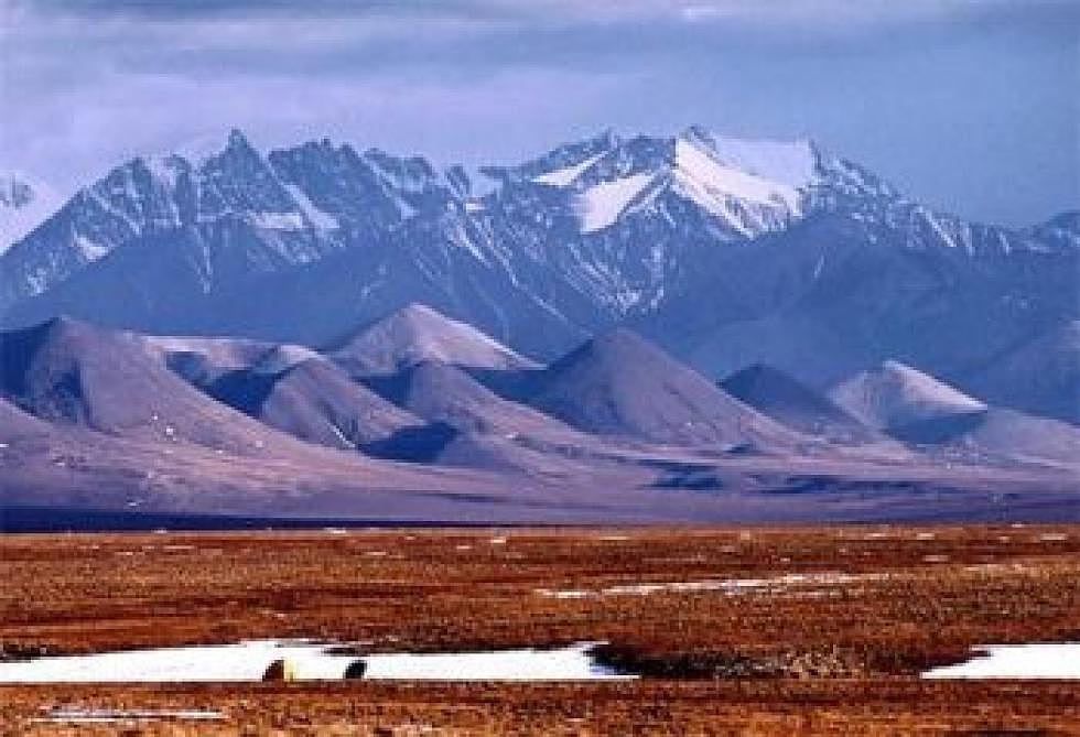 Trump takes first step toward drilling in Arctic National Wildlife Refuge