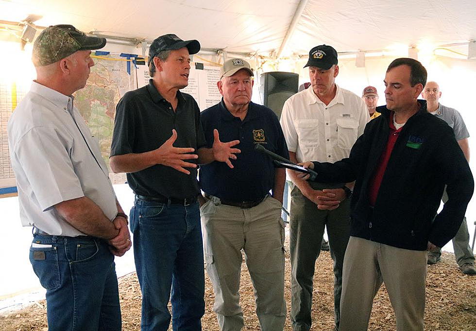 Daines, Gianforte say forest reforms will &#8220;blunt&#8221; lawsuits, streamline timber projects