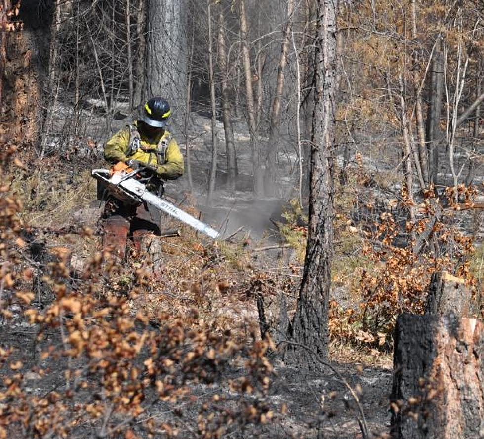 Lolo National Forest proposes salvage logging in 5 burned areas