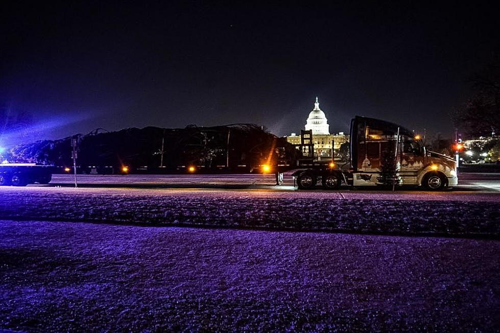 2017 Capitol Christmas tree completes journey from Montana to D.C.