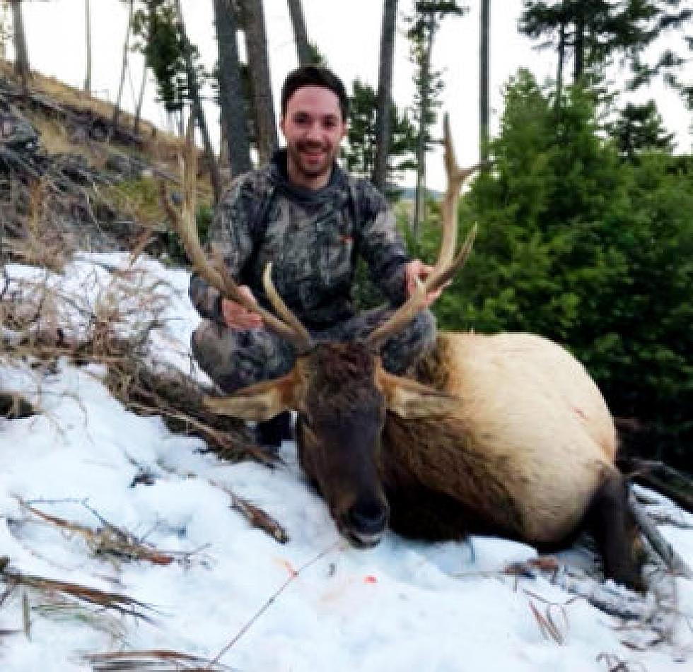 Montana hunting organization offers $1K reward for return of stolen head of bull elk