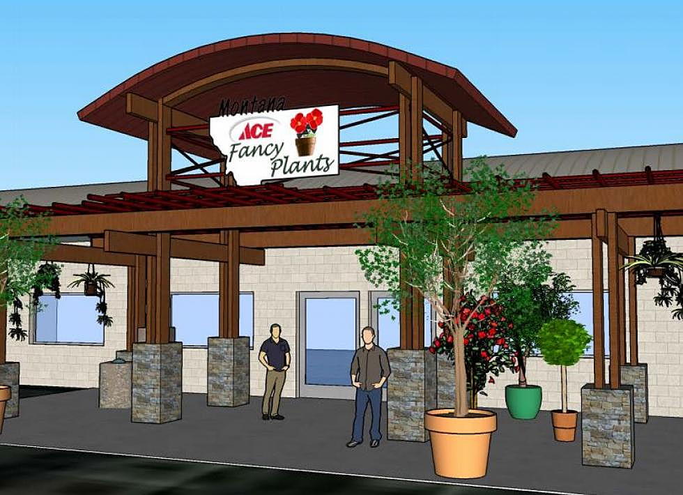 Montana Ace Fancy Plants plans $400K expansion to launch year-round business
